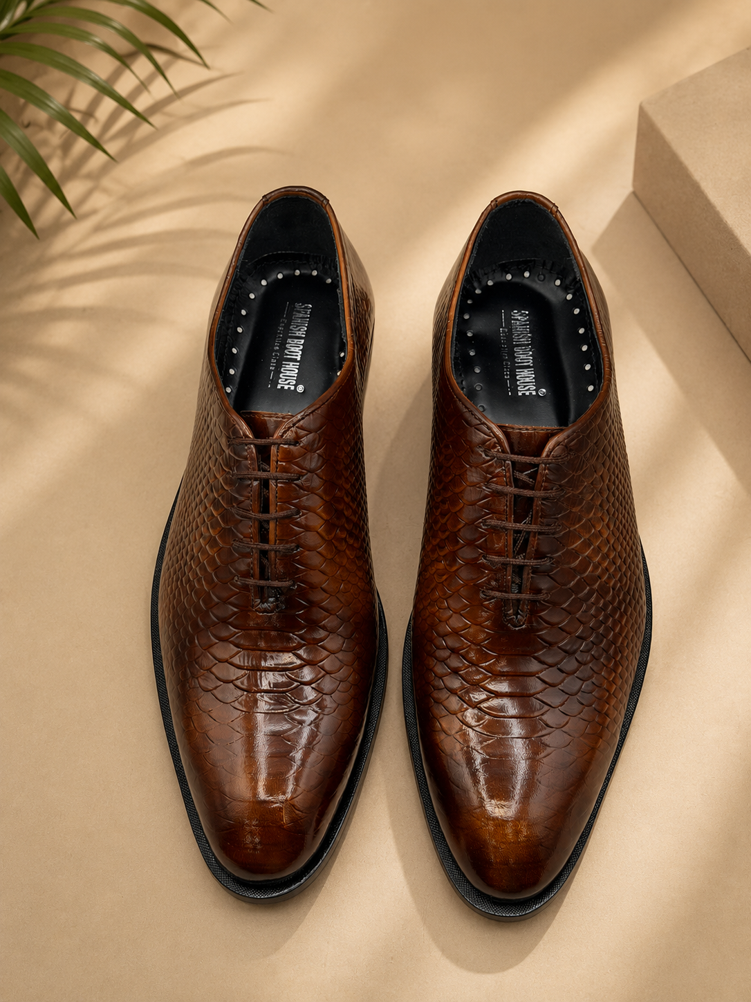 Windsor Croc Oxford